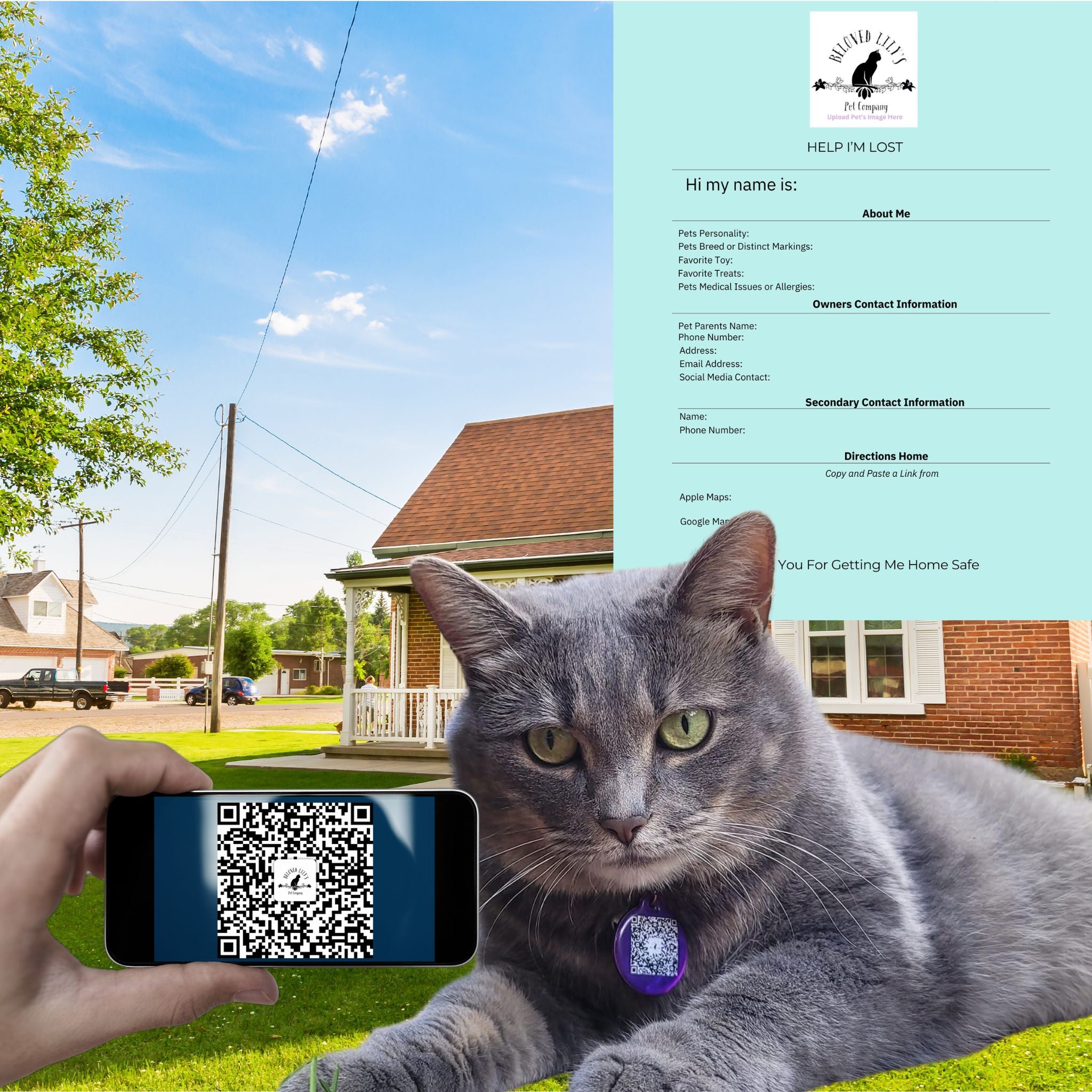 QR Code pet id made for pets safety-beloved lily's pet company