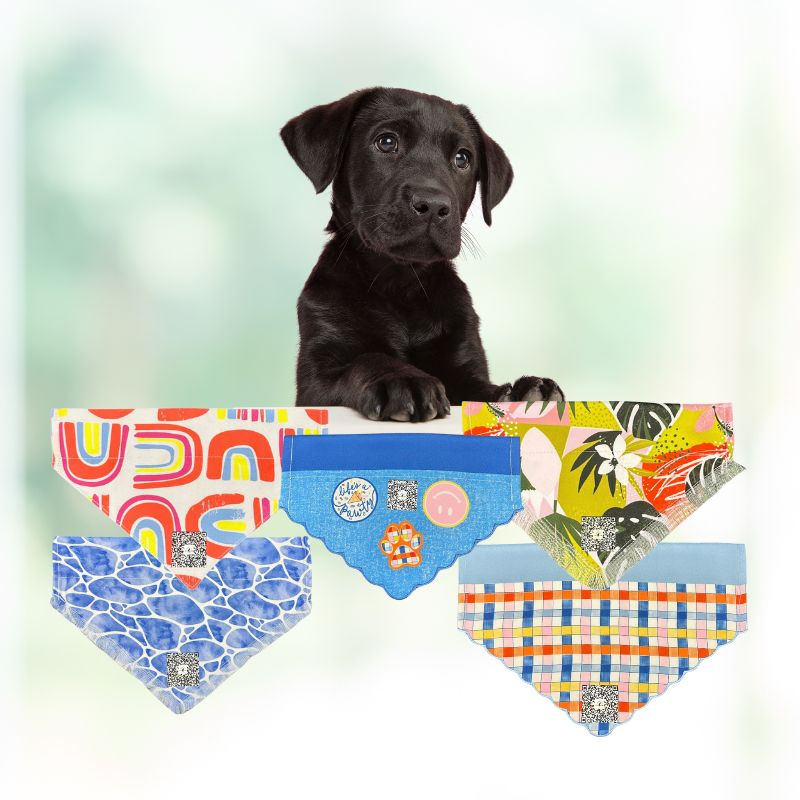 Colorful dog bandanas with QR codes from Beloved Lily&#39;s, linking to free pet profiles for easy identification. Displayed with a black Labrador puppy showcasing the stylish and functional design.