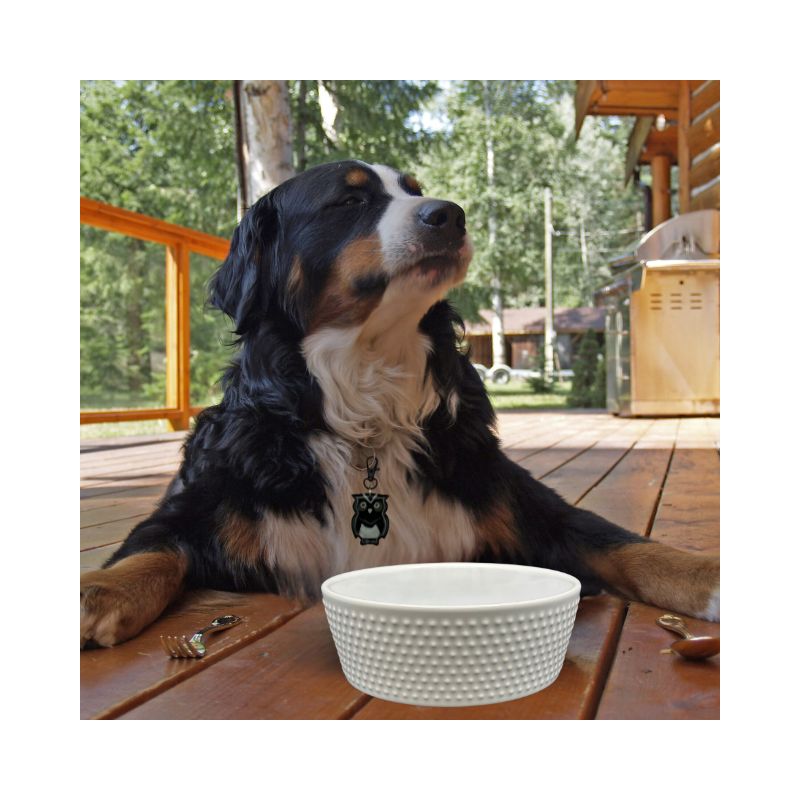 White ceramic dog bowl. Dog wearing a QR Code dog tag, waiting for breakfast.