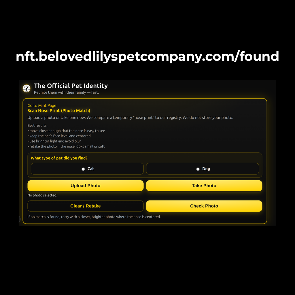 Shopify_mint_page_image_3.png