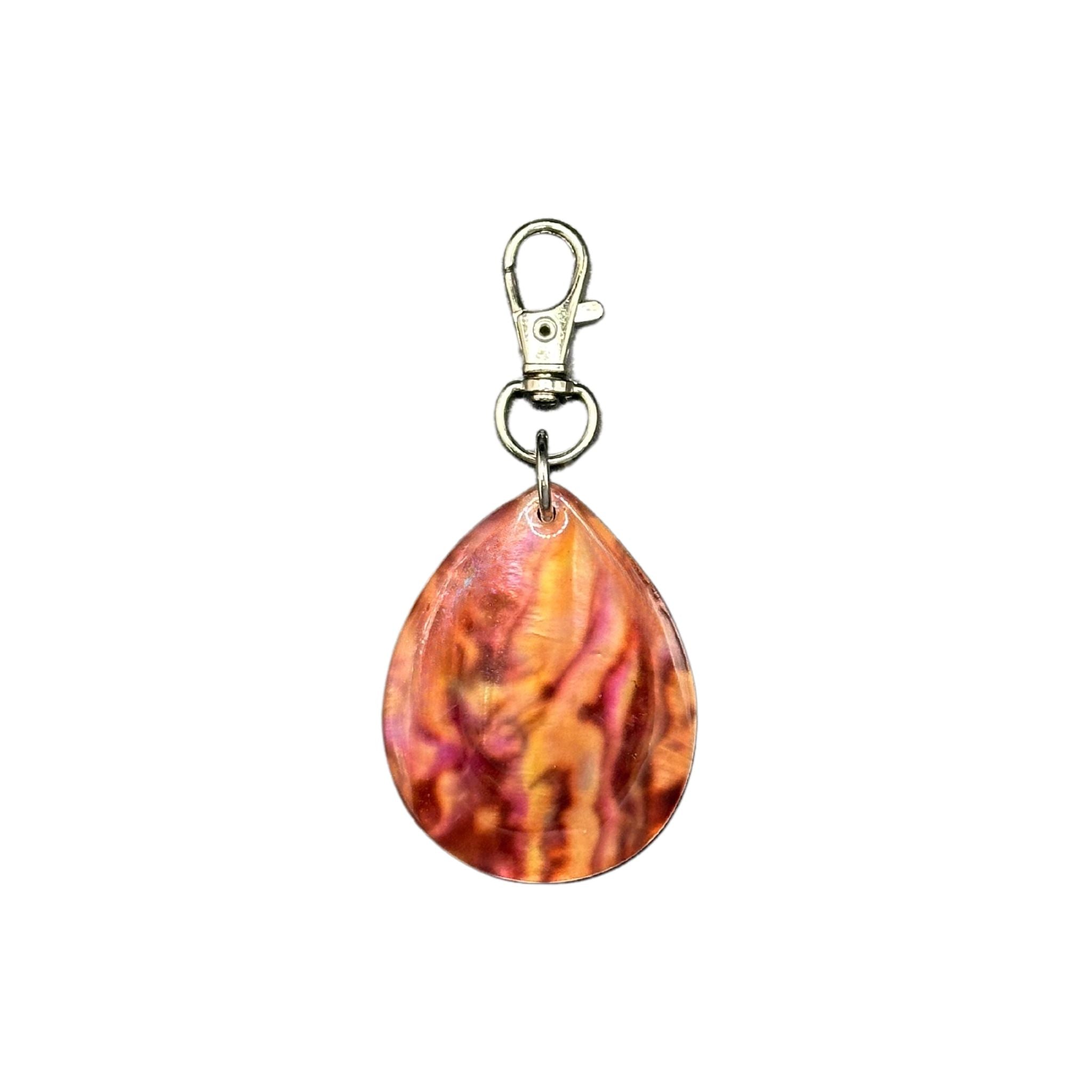 Colorful sea shell guitar pick-shaped pet ID tag with a QR code, showcasing vibrant colors and musical charm, front view and back view with QR code.